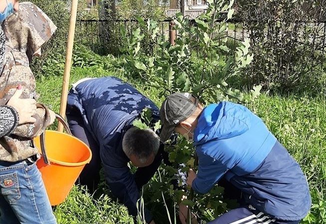 Після від ходу дружини він посадив біля будинку 6 тисяч дубів. Тільки через 20 років все зрозуміли навіщо.