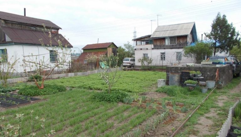 Коли Софія зайшла додому, вона почула голос чоловіка і ще жіночий голос, знайомий голос, вона не очікувала, що почує його звук тут, в такій обстановці
