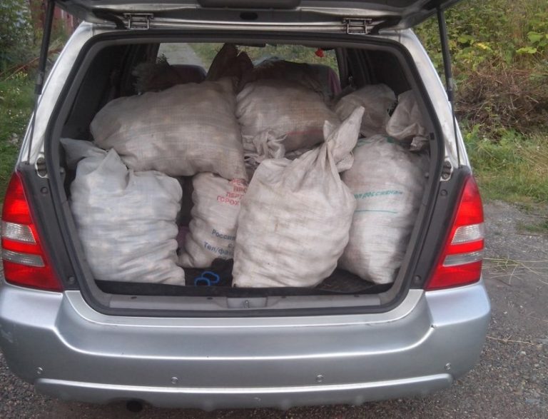 Тато погодився відвезти гостинці своєму племіннику в столицю, але після такої поведінки з його боку, він сильно поաкодував про свою доброту