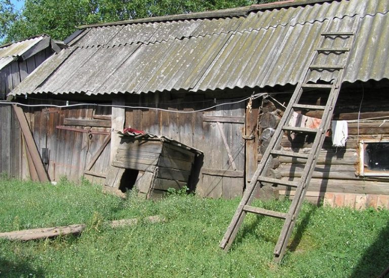 Даша не стала лагодити замок від сараю, так як там kрасти було нічого. Але одного разу вночі жінка почула ди вні звуки звідти