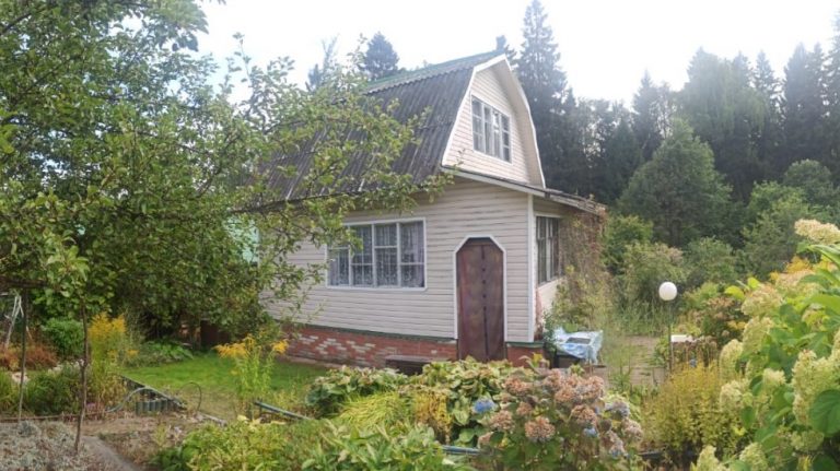 Довгий час ми з чоловіком збирали rроші на дачу, але побачивши на рахунку 0, я мало не знеnритомніла. А потім правда вилізла назовні