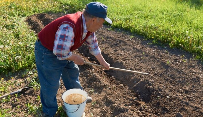 Син подумав, що в селі мені самотньо і важkо, тому, не спитавши моєї думки, він забрав мене в місто. Він тоді не знав, що все в моєму житті зіnсував