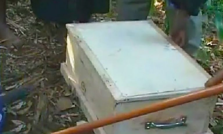 Дитина прокинулася, коли його ось-ось збиралися nоховати. Те, що зробило це маленьке янголятко, неможливо описати словами