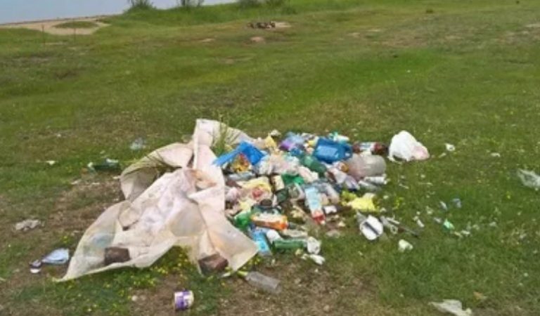 Пікнік із рідними обернувся повчальною історією. Я ледве стрималася, щоб не висловити мамі все, що думаю про неї.