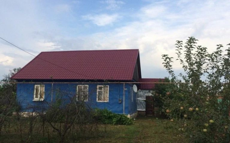 Моєму чоловікові подзвонила тітка і запросила нас на дачу. Якби ми знали, яким коաмаром це обернеться, точно не поїхали б туди