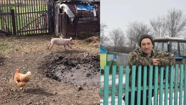 Сестра вирішила познайомити мене з мужиком з села, але як виявилося крім корів, курей і свиней, він більше ні про що не думав