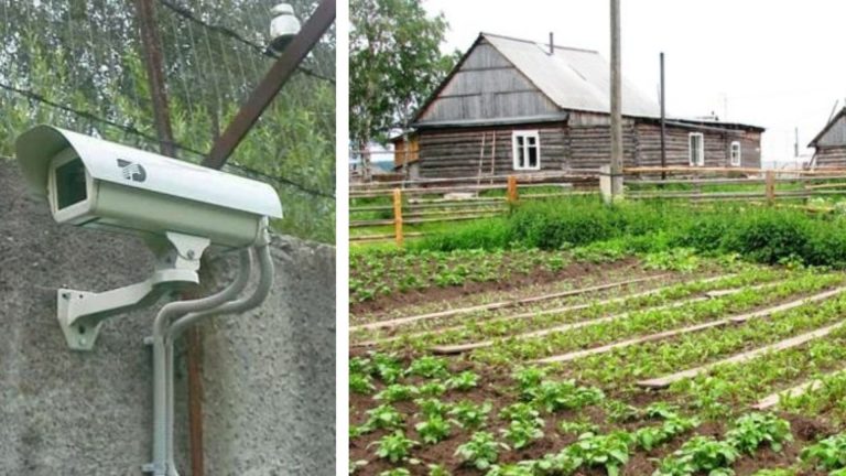 Чоловік встановив камеру у нас на дачі, і через два тижні ми вирішили переглянути записи. Те, що ми там побачили, було дуже дивним