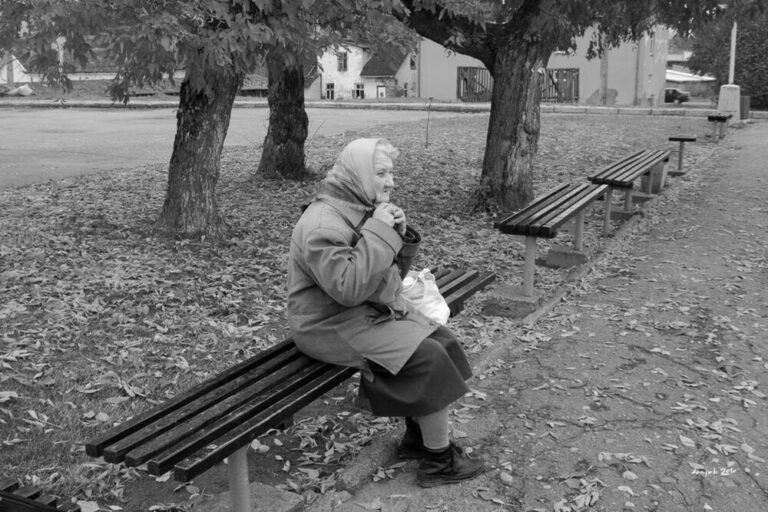 Последняя встреча Истории